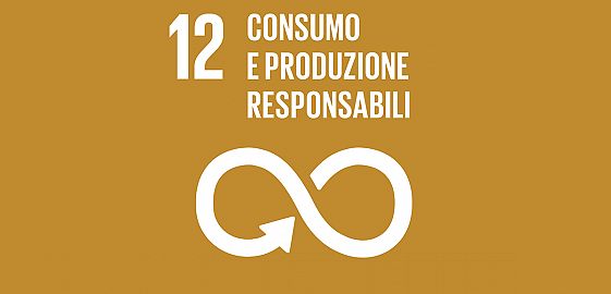 29 maggio - Evento Goal 12: Consumo e produzione responsabili